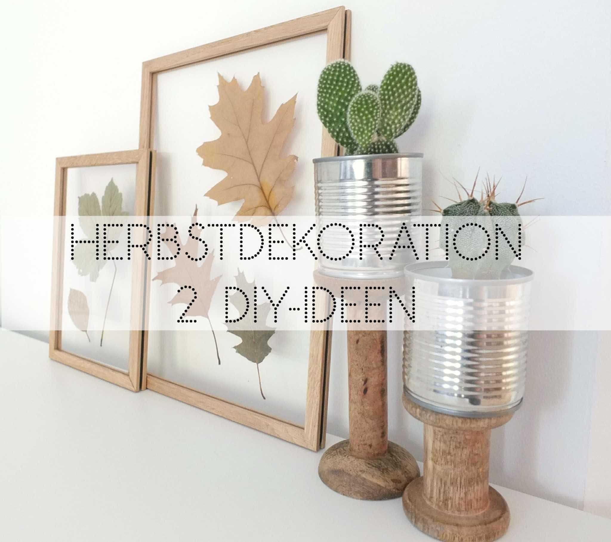 Wohngoldstück_DIY Herbstdekoration Blätter in Moebe Bilderrahmen und mit Holzklammer