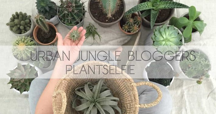 Wohngoldstück_Urban Jungle Bloggers Plantselfie September 2016