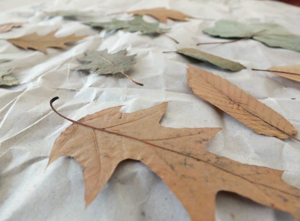 Wohngoldstück_DIY Herbstdekoration Blätter in Moebe Rahmen und mit Klammer