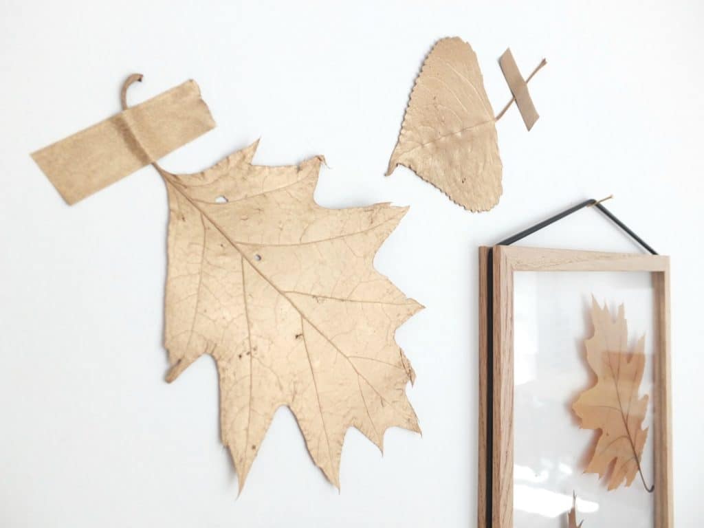 Wohngoldstück_DIY Herbstdekoration Blätter in Moebe Rahmen und mit Klammer