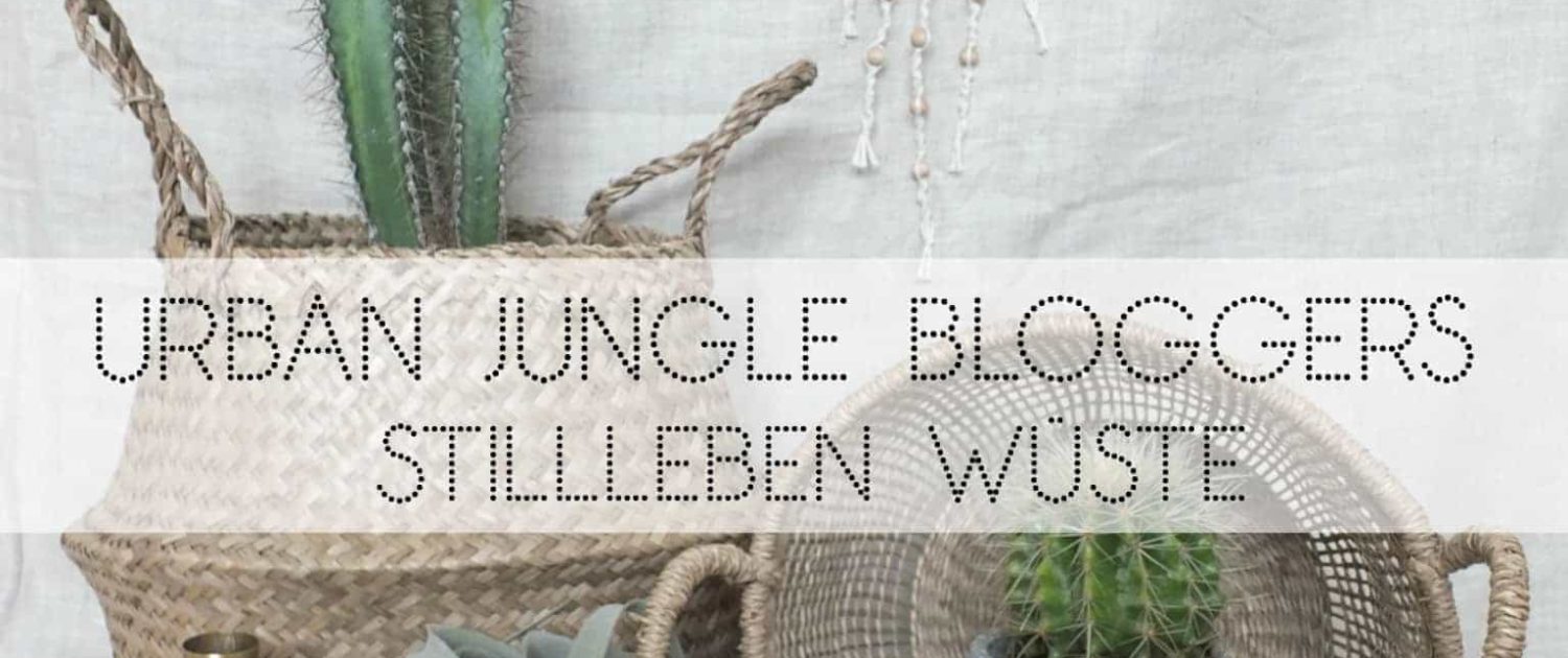 Wohngoldstück_Urban Jungle Bloggers_Plant Still Life_Desert_Oktober 2016