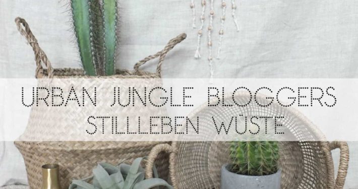 Wohngoldstück_Urban Jungle Bloggers_Plant Still Life_Desert_Oktober 2016