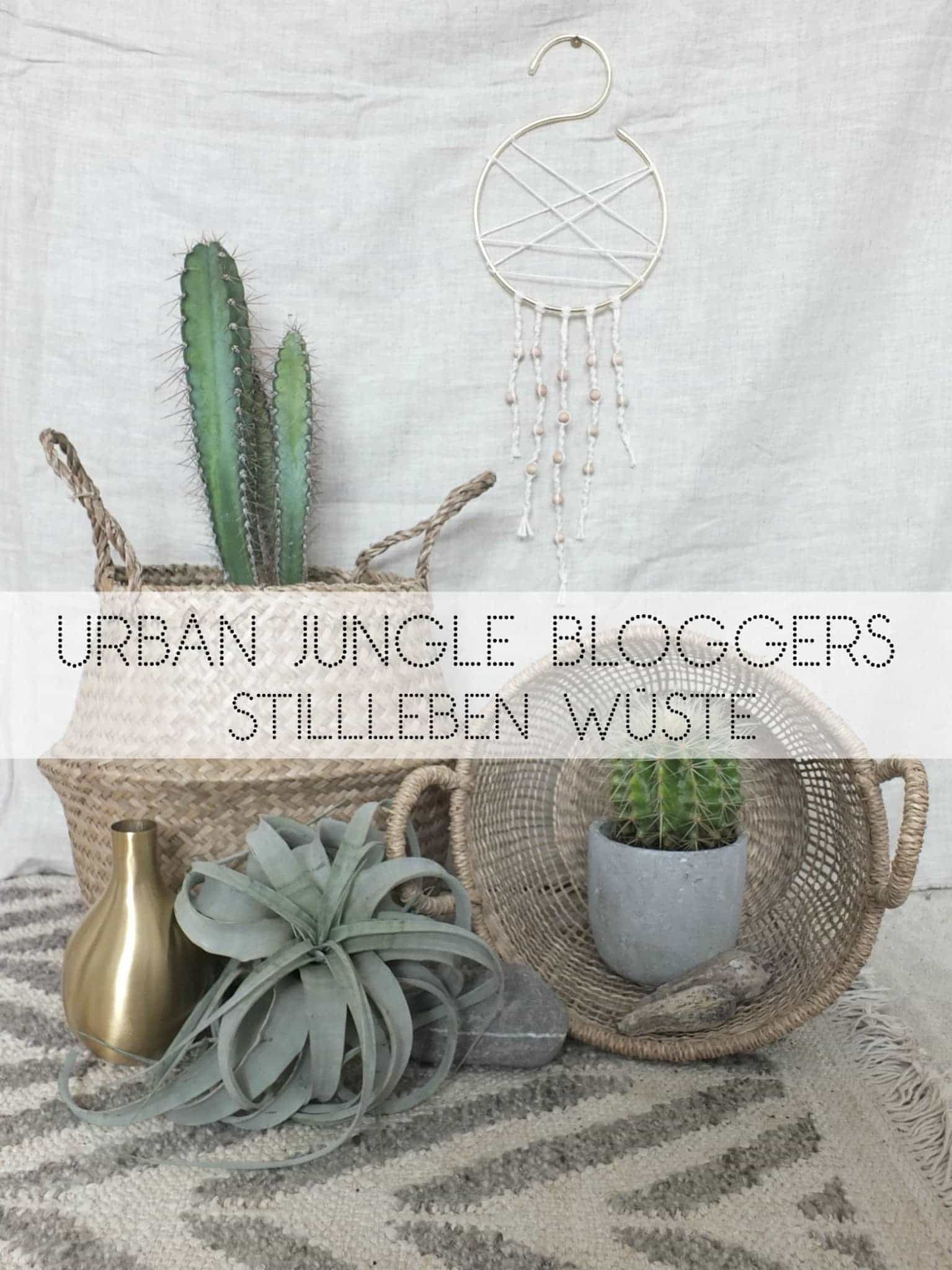 Wohngoldstück_Urban Jungle Bloggers_Plant Still Life_Desert_Oktober 2016