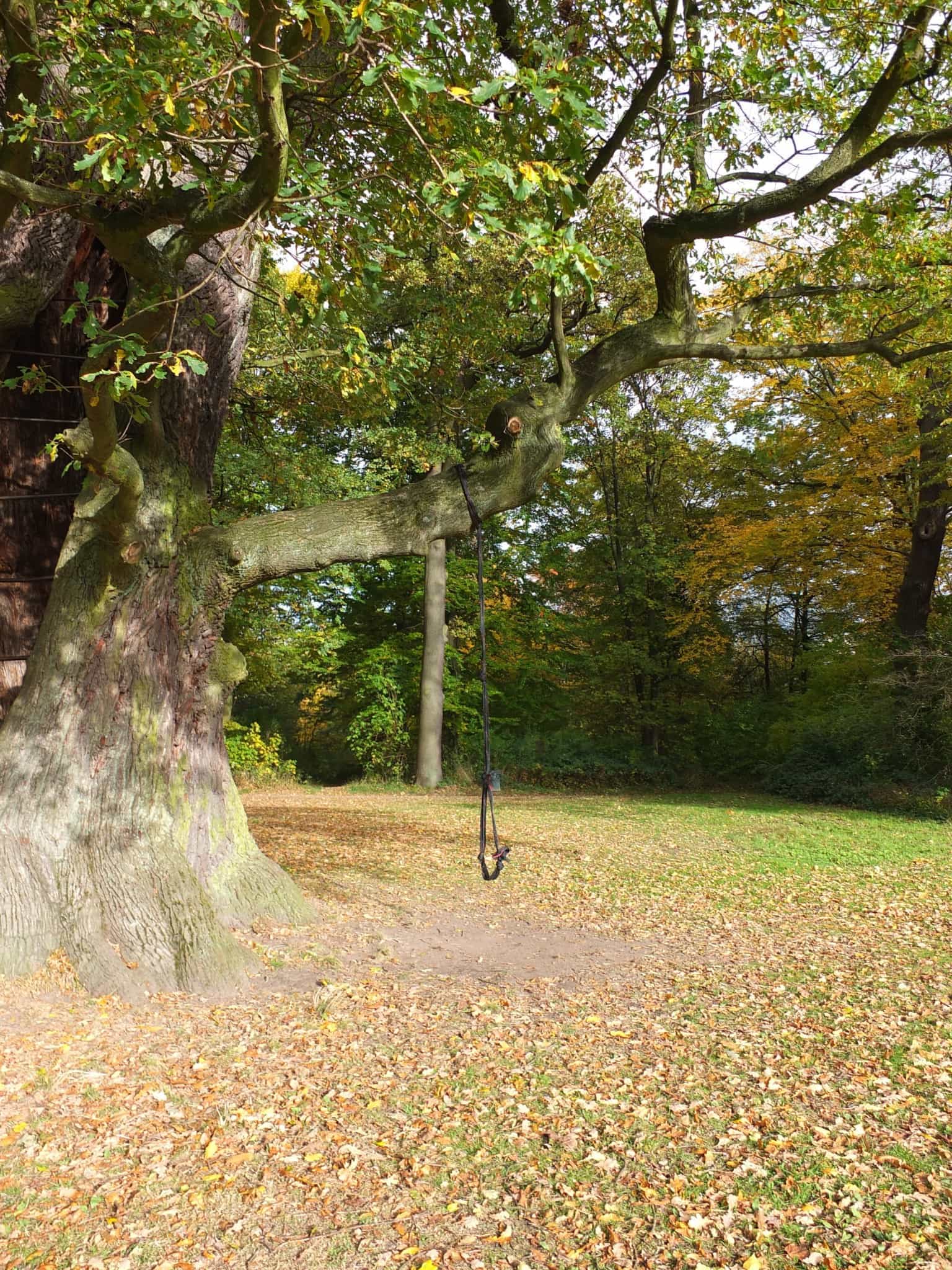 WOHNGOLDSTÜCK [Hamburg] ↠ Traumhafter Herbsttag im Jenischpark!