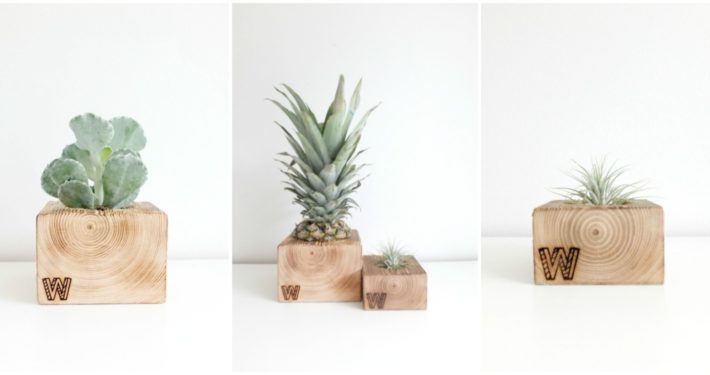 Wohngoldstück_Woodenchock Hamburg