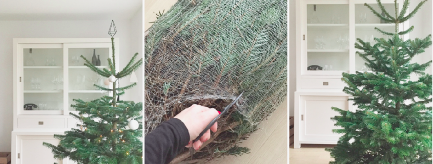 Wohngoldstück_Mein schöner Garten Weihnachtsbaum online bestellen