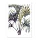 Wohngoldstueck_Kunstdruck Leo la Douce Wild Palm