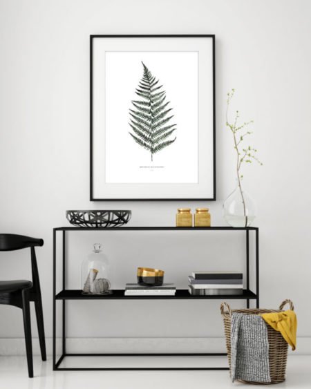 Wohngoldstueck_Kunstdruck Leo la Douce Fern