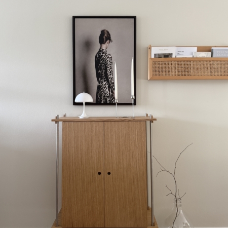 Wohngoldstück_Cabinet Schrank S.115.1.C Moebe Regalsystem